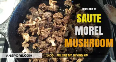 Perfectly Sauteed Morel Mushrooms: Timing Tips for Optimal Flavor