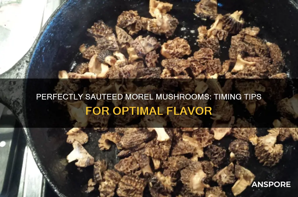 how long to saute morel mushrooms