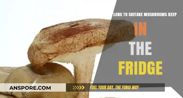 How Long Do Shiitake Mushrooms Stay Fresh in the Fridge?