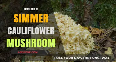 Perfectly Simmered Cauliflower Mushroom: Timing Tips for Tender Results