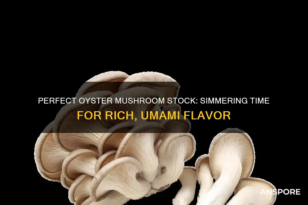 how long to simmer oyster mushrooms for stock