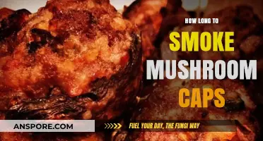 Perfectly Smoked Mushroom Caps: Timing Tips for Optimal Flavor