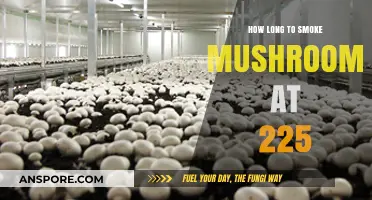 Perfectly Smoked Mushrooms: Timing Tips at 225 Degrees