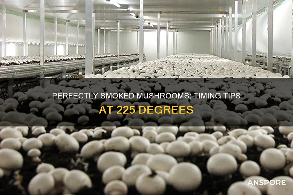 how long to smoke mushrooms at 225