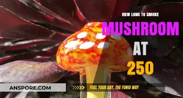 Smoking Mushrooms at 250°F: Optimal Time and Techniques Revealed