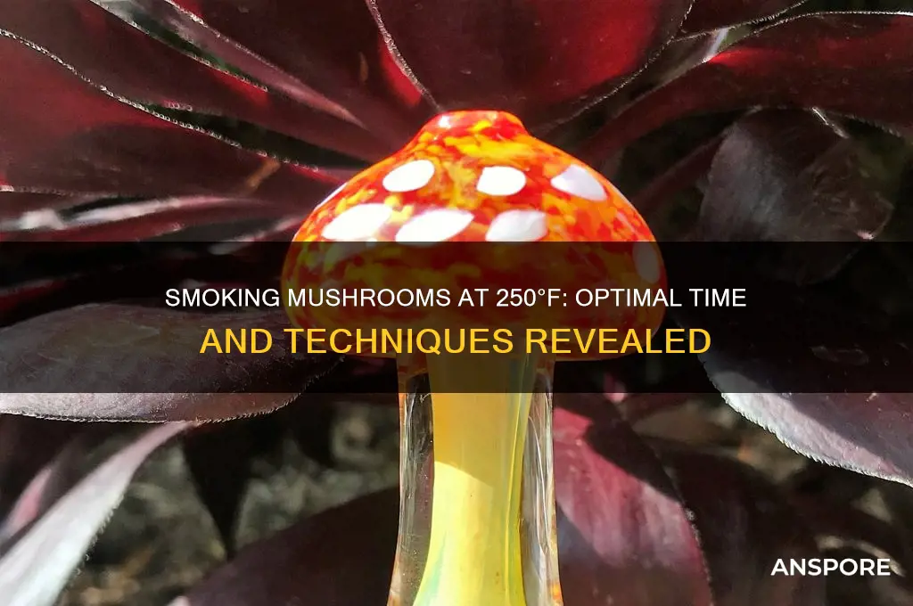 how long to smoke mushrooms at 250