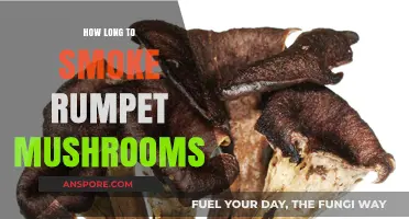 Perfectly Smoked Rumpet Mushrooms: Timing Tips for Delicious Results