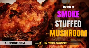 Perfectly Smoked Stuffed Mushrooms: Timing Tips for Juicy Results