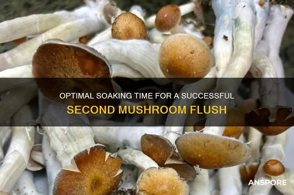 how long to soak before second flush of mushrooms