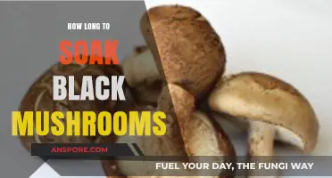 Perfect Soaking Time for Black Mushrooms: Tips for Optimal Texture