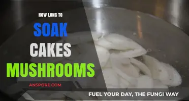 Perfect Soaking Time for Cake Mushrooms: A Complete Guide