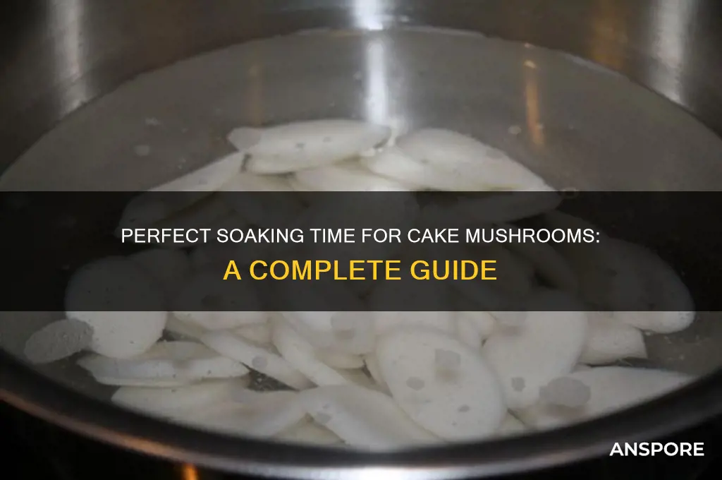 how long to soak cakes mushrooms
