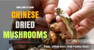 Perfect Soaking Time for Chinese Dried Mushrooms: A Simple Guide