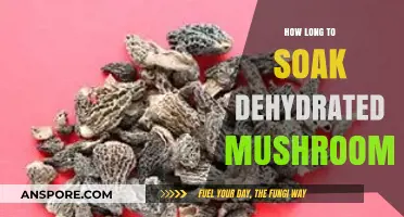 Perfect Rehydration: How Long to Soak Dehydrated Mushrooms for Best Results