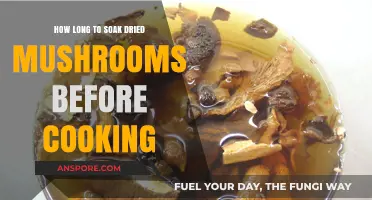Perfect Soaking Time for Dried Mushrooms: A Cooking Guide