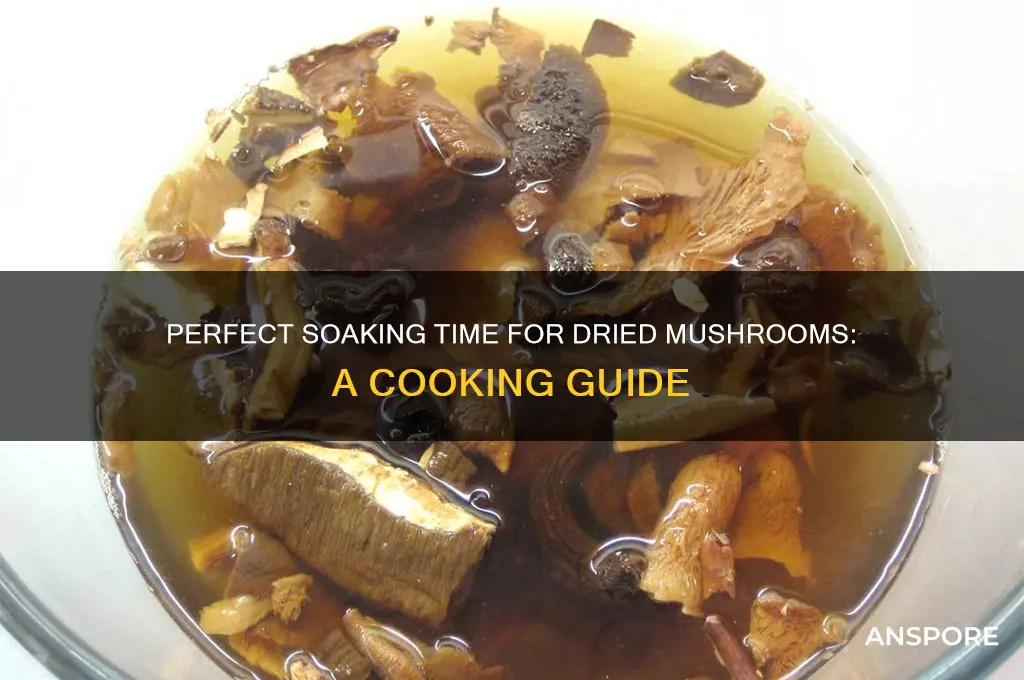 how long to soak dried mushrooms before cooking