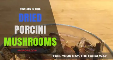 Perfect Porcini Prep: Optimal Soaking Time for Dried Mushrooms