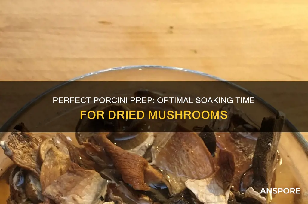 how long to soak dried porcini mushrooms