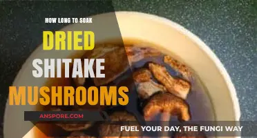 Perfect Soaking Time for Dried Shiitake Mushrooms: A Quick Guide