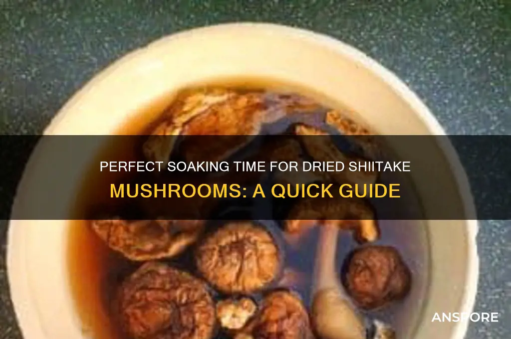 how long to soak dried shitake mushrooms