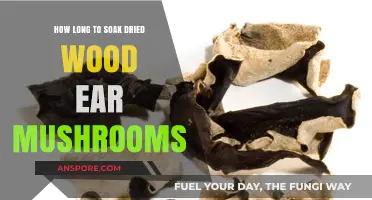 Perfect Soaking Time for Dried Wood Ear Mushrooms: A Quick Guide