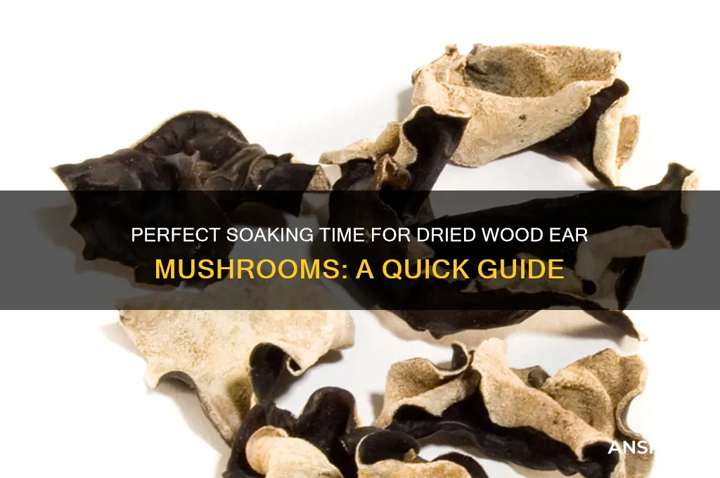 how long to soak dried wood ear mushrooms