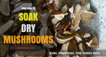 Perfect Soaking Time for Dry Mushrooms: Tips and Tricks