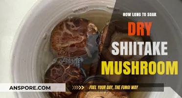 Perfectly Plump: Mastering Soaking Times for Dry Shiitake Mushrooms