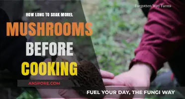 Perfect Morel Mushrooms: Optimal Soaking Time Before Cooking Revealed