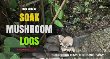 Mastering Mushroom Log Soaking: Optimal Time for Fruiting Success
