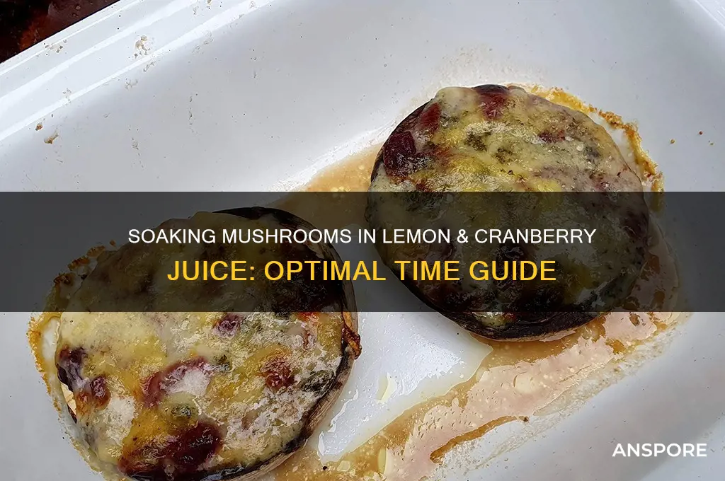 how long to soak mushrooms in lemon juice cranberry juice