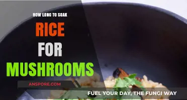Perfect Mushroom Rice: Optimal Soaking Time for Fluffy Texture