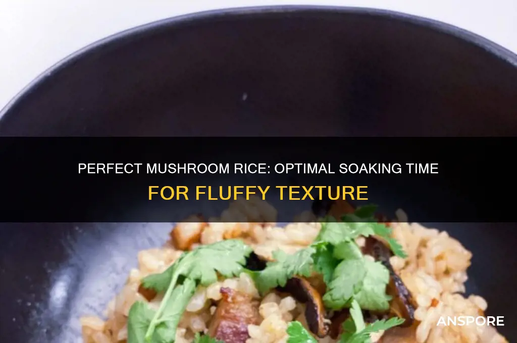 how long to soak rice for mushrooms