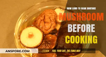 Perfect Shiitake Soaking: Timing Tips for Optimal Flavor and Texture