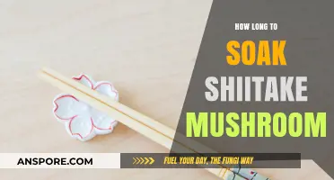 Perfect Shiitake Soaking: Timing Tips for Optimal Flavor and Texture