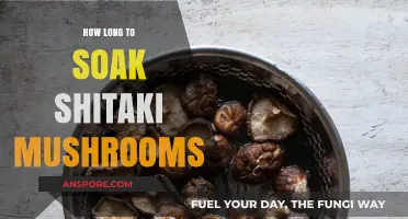 Perfect Shiitake Soaking: Time Tips for Tender, Flavorful Mushrooms