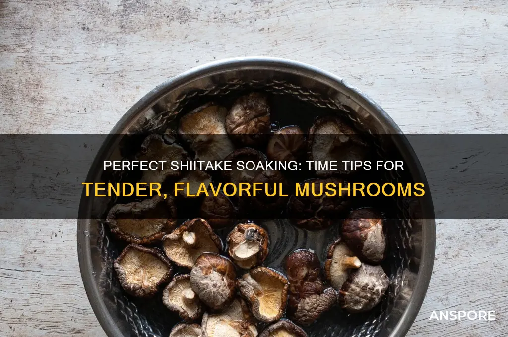 how long to soak shitaki mushrooms