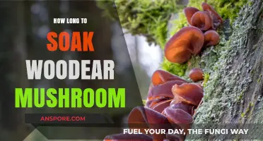 Perfect Soaking Time for Wood Ear Mushrooms: Tips and Tricks