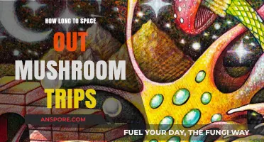 Optimal Timing for Safe and Meaningful Mushroom Trip Spacing