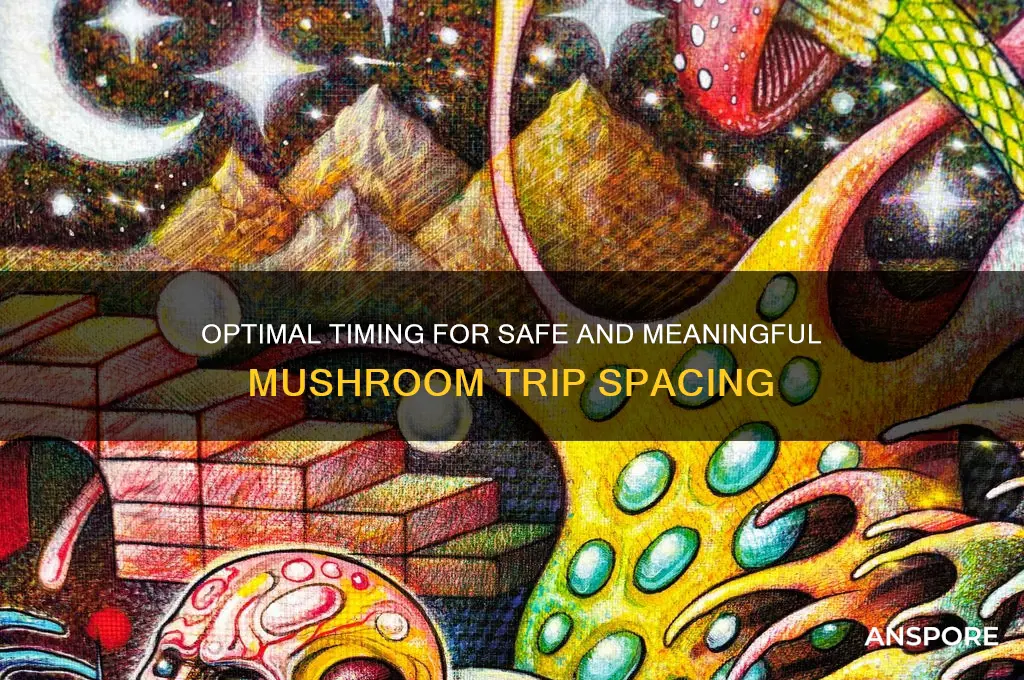 how long to space out mushroom trips