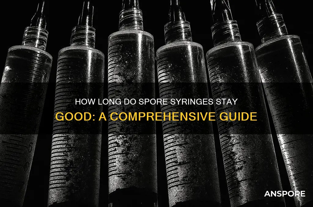 how long to spore syringes stay good