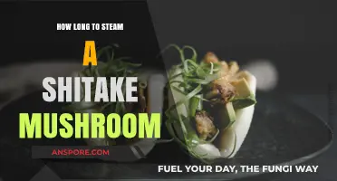 Perfectly Steamed Shiitake Mushrooms: Timing Tips for Optimal Flavor