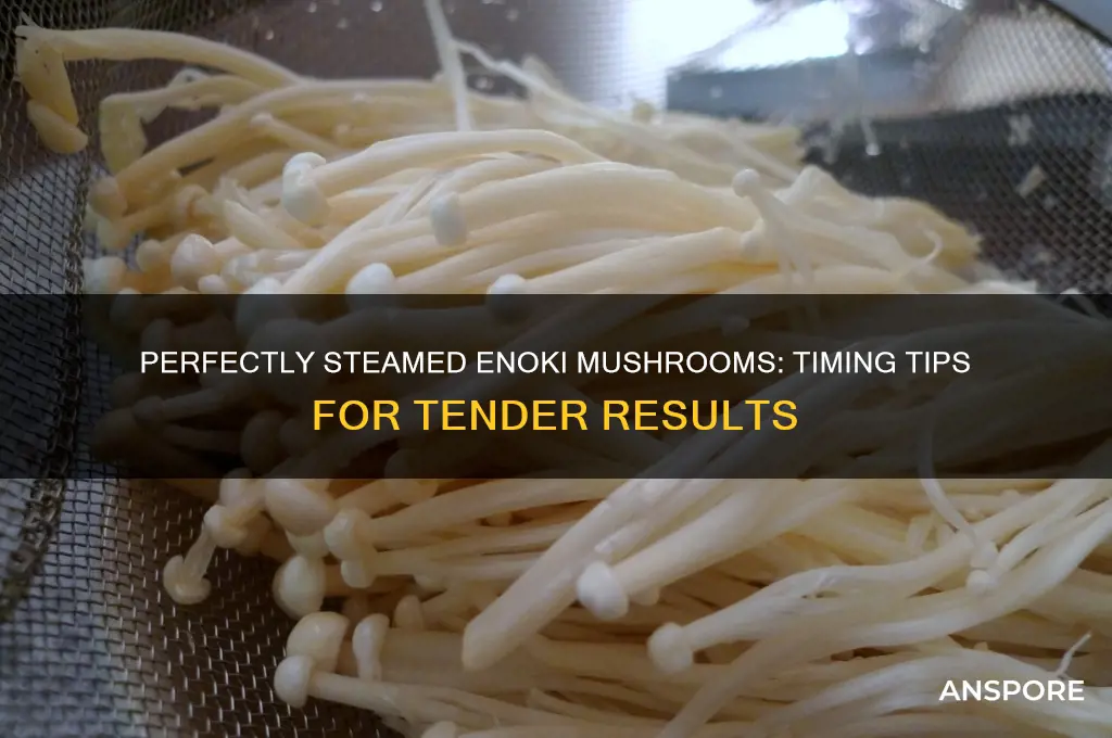 how long to steam enoki mushroom