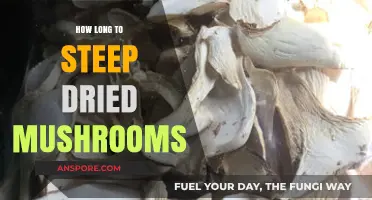 Perfect Mushroom Steeping: Optimal Time for Dried Mushrooms Unveiled