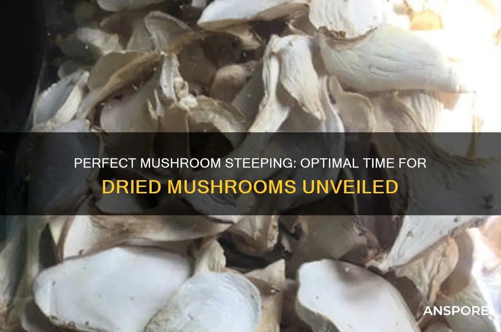 how long to steep dried mushrooms