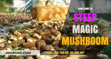 Perfect Psilocybin Potency: Optimal Steeping Times for Magic Mushrooms