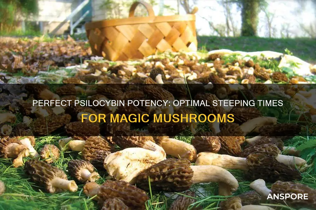 how long to steep magic mushrooms