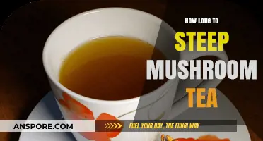 Perfect Mushroom Tea: Optimal Steeping Times for Rich Flavor and Benefits