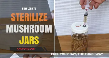 Sterilizing Mushroom Jars: Optimal Time for Safe Cultivation Success