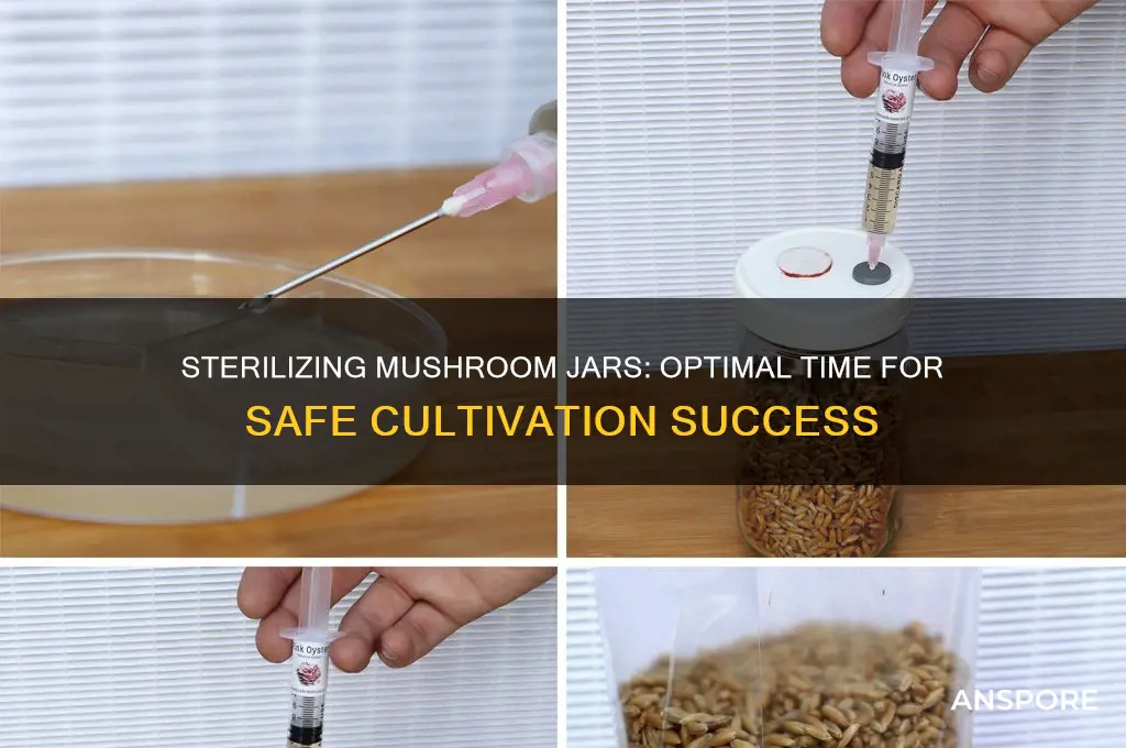 how long to sterilize mushroom jars